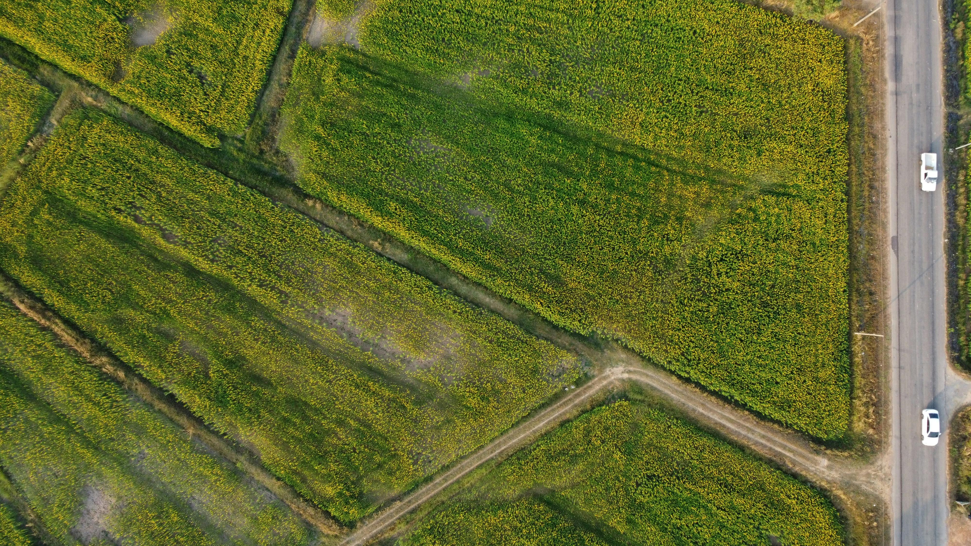 Aerial view of English countryside with fields for development